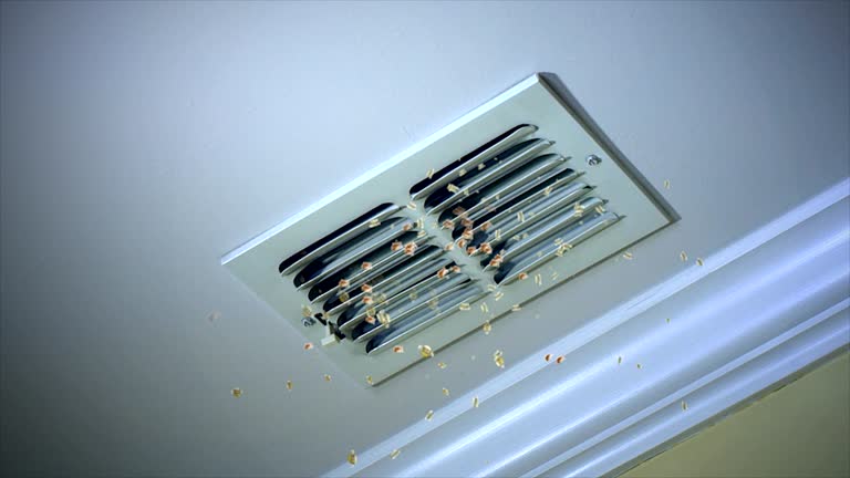Best Affordable Duct Cleaning Services  in Gardende, AL